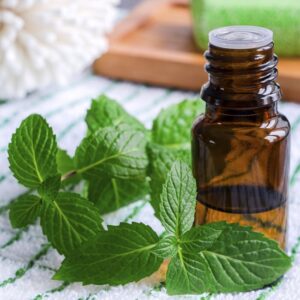 Toothache Home Remedies Peppermint Oil